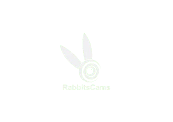Rabbits Cams